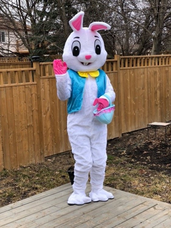 The Easter Bunny