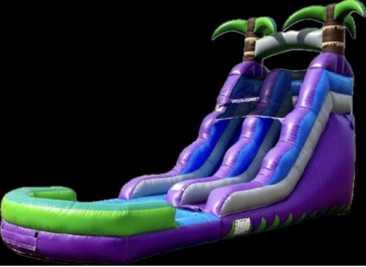 Purple Crush Water Slide *