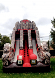 9DFCEA1E 96AE 4563 83C7 880E1DB78D1A 909785637 Raiders of the Lost Temple Slide