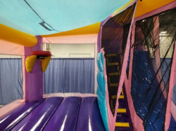 purple bounce house with slide rental edmonton kids bouncy castle 1 Dazzling Bounce and Slide Combo